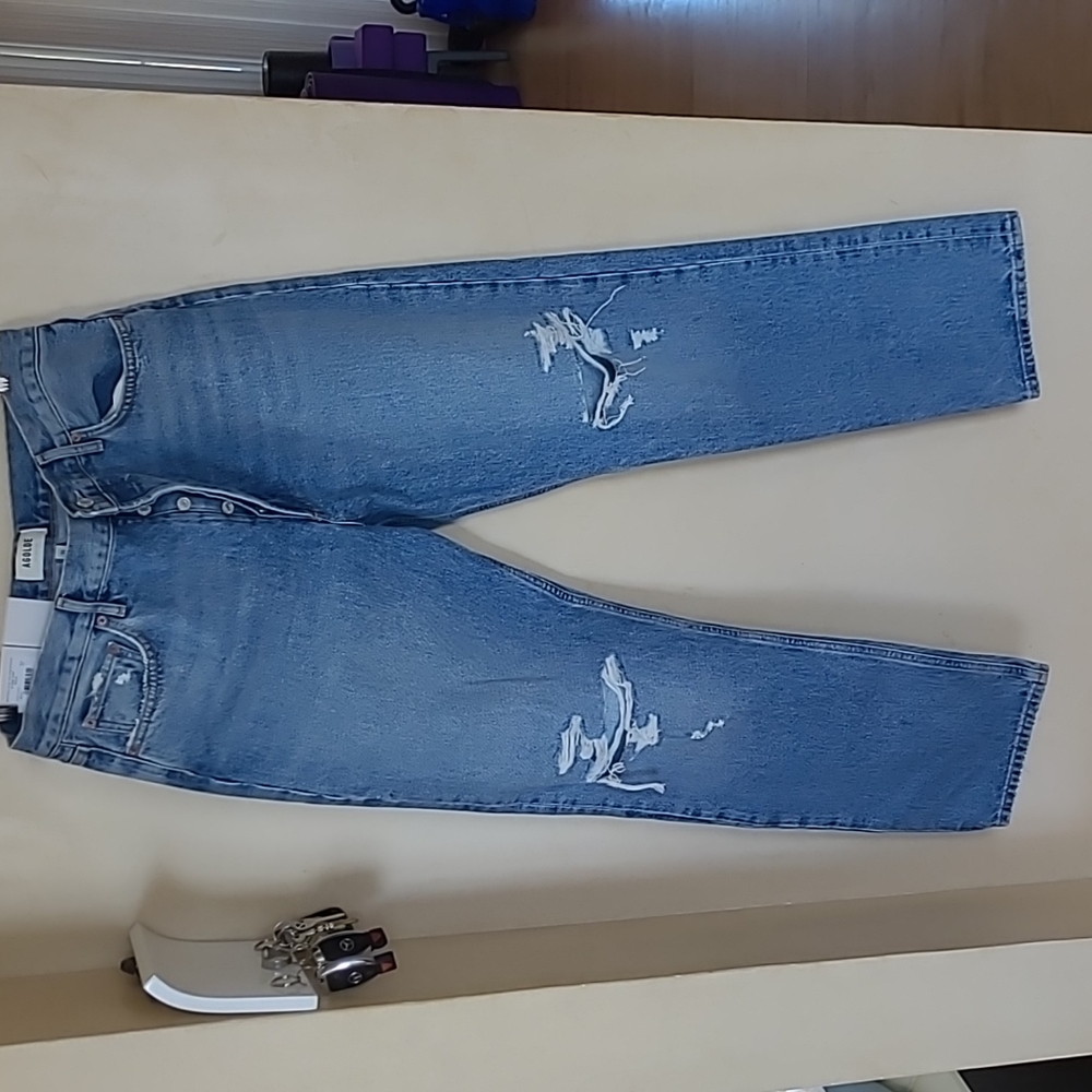 Agolde 90's pinch waist high rise straight  Rule